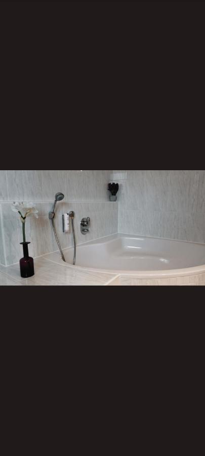 Self Checkin Hotel Heckenrose Lorin Ringsheim Exterior foto